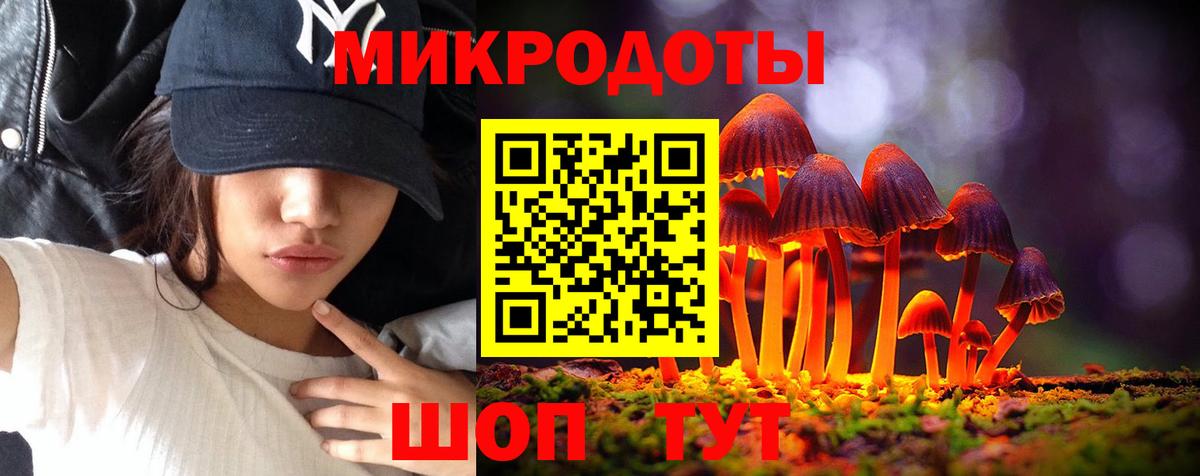 Сокол  Псилоцибиновые грибы ЛСД  Вход с VPN 