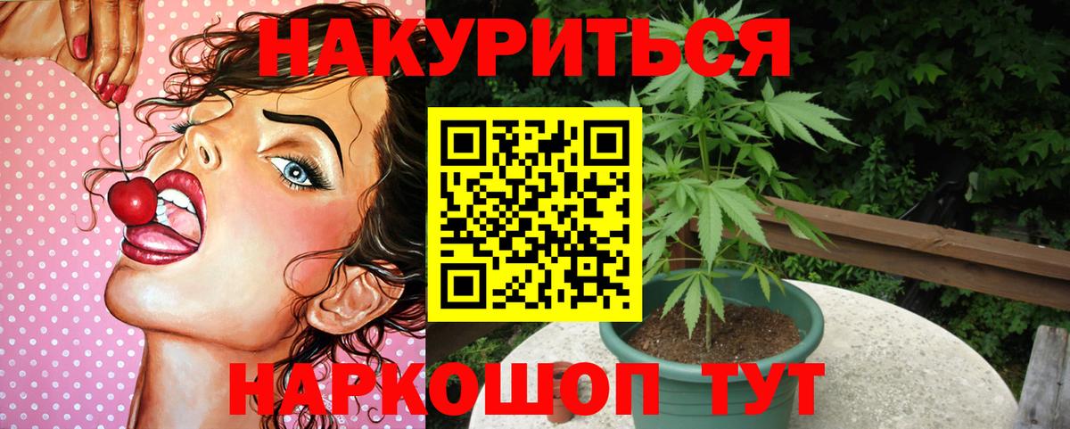 Сокол  Канабис индика  Вход с VPN  Бошки марихуана LSD WEED 